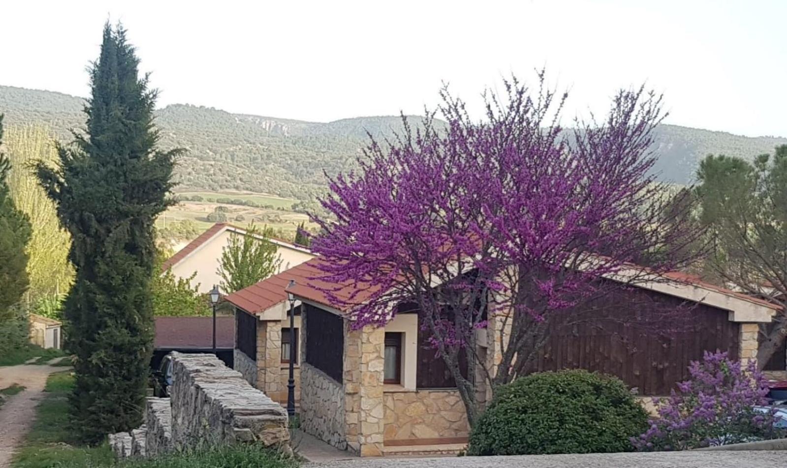 Aventura & Relax Cabanas Pena La Higuera Villalba de la Sierra Luaran gambar